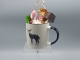 Beker Aira